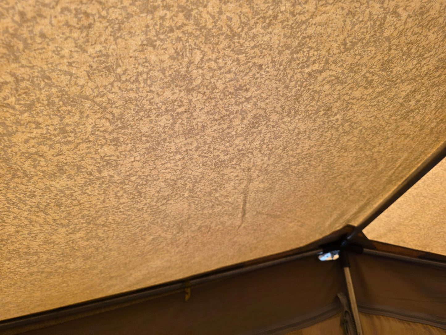 2012 Jurgens Penta Caravan (CT 1574)